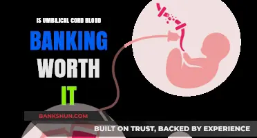 Is Umbilical Cord Blood Banking a Valuable Investment for Your Family?
