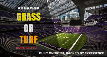 Is U.S. Bank Stadium Grass or Turf? Uncovering the Field's Surface