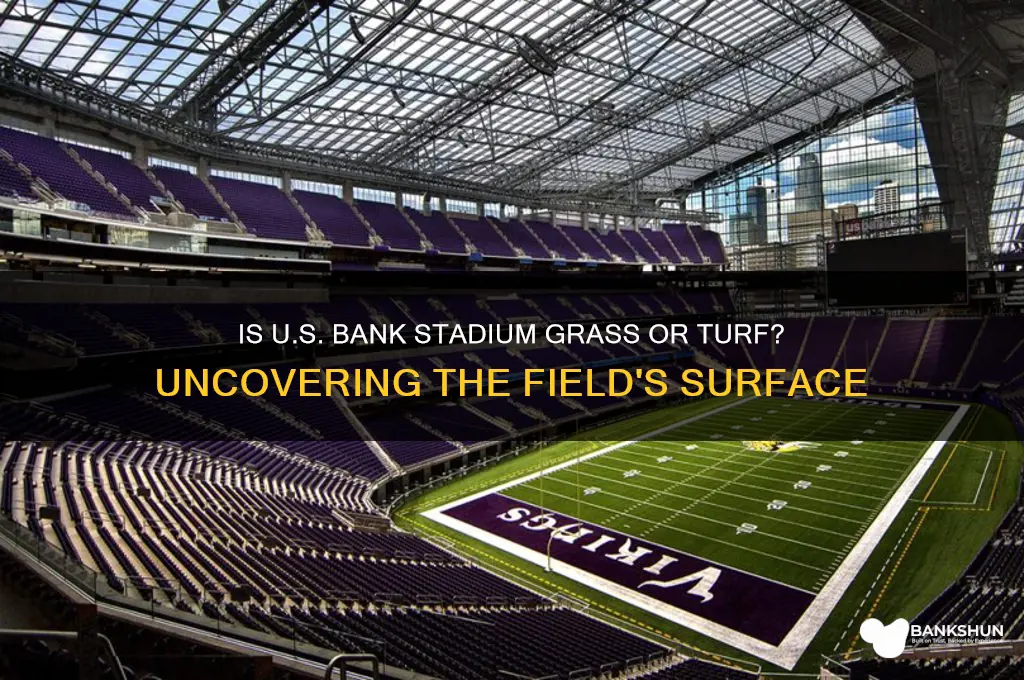 is us bank stadium grass or turf