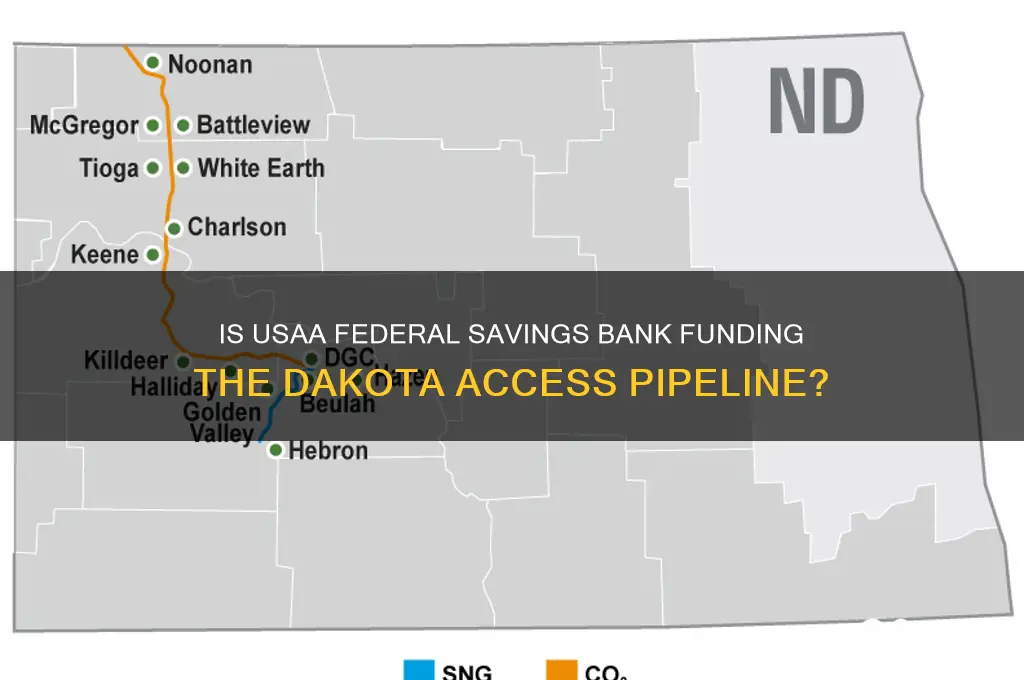 is usaa federal savings bank funding dapl