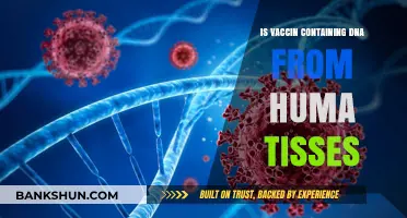 Vaccines and Human DNA: Unraveling the Tissue-Derived Myth