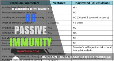 Vaccination: Understanding Active vs. Passive Immunity for Better Health