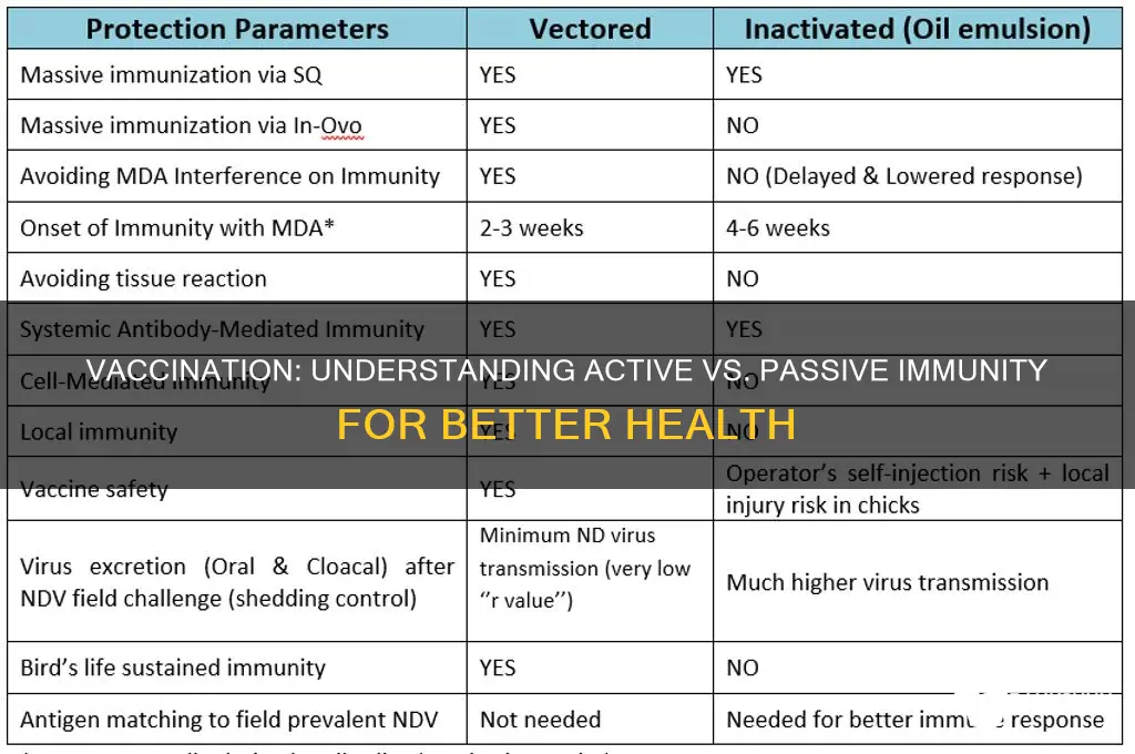 is vaccination active immunity or passive immunity