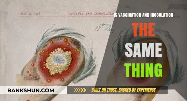 Vaccination vs. Inoculation: Understanding the Difference and Similarities