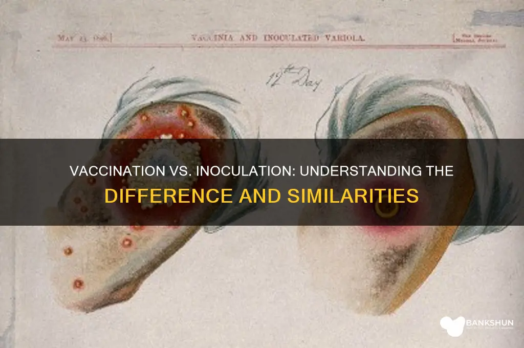 is vaccination and inoculation the same thing