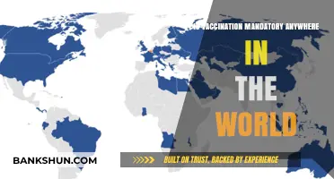 Global Vaccination Mandates: Where Are Shots Legally Required?