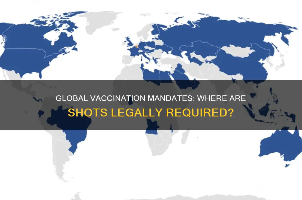 is vaccination mandatory anywhere in the world