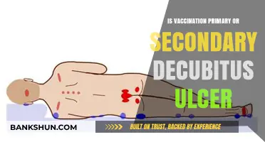 Vaccination's Role in Preventing Primary vs. Secondary Decubitus Ulcers