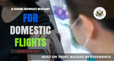 Vaccine Certificate for Domestic Flights: Essential or Optional?