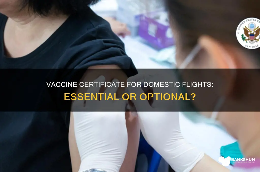 is vaccine certificate necessary for domestic flights