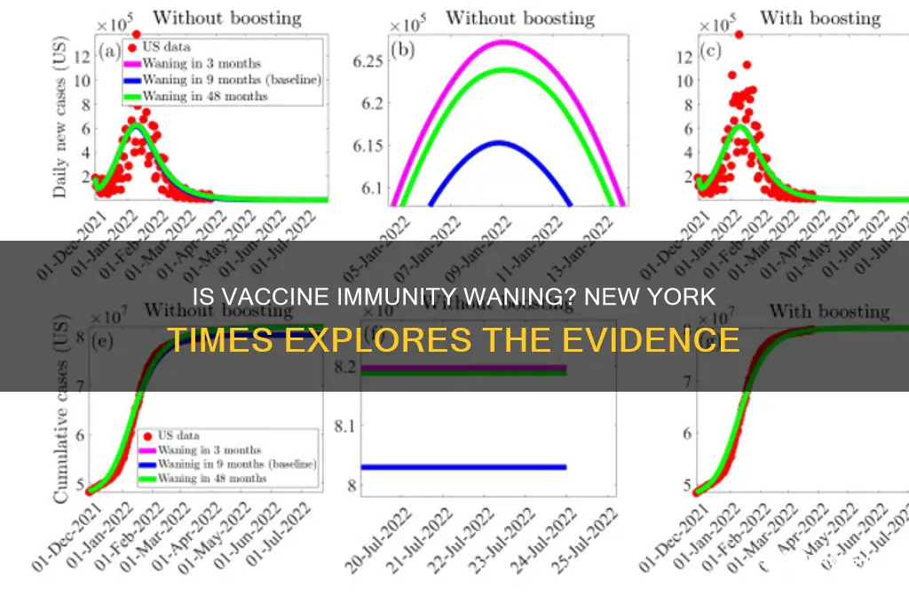 is vaccine immunity waning new york times