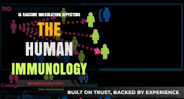 Vaccines and Immunity: Unraveling the Impact on Human Immunology