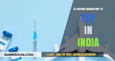 Is a COVID-19 Vaccine Mandatory for Air Travel in India?