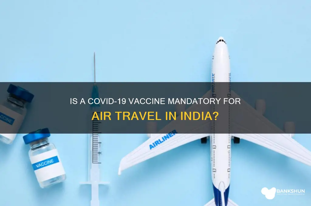 is vaccine mandatory to fly in india