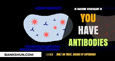 Antibodies vs. Vaccines: Do You Still Need Immunization?