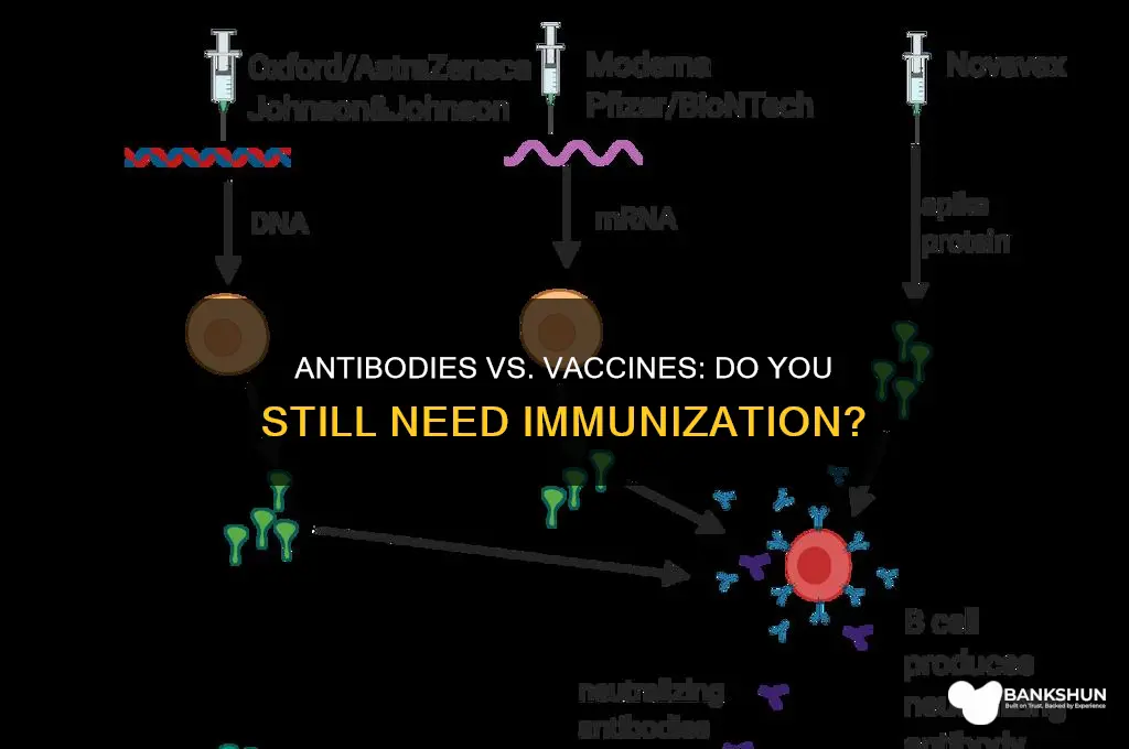 is vaccine necessary if you have antibodies