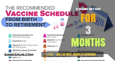 Vaccine Efficacy: Debunking the 3-Month Myth and Long-Term Protection