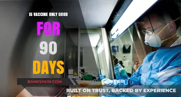 Vaccine Efficacy: Debunking the 90-Day Myth and Long-Term Protection