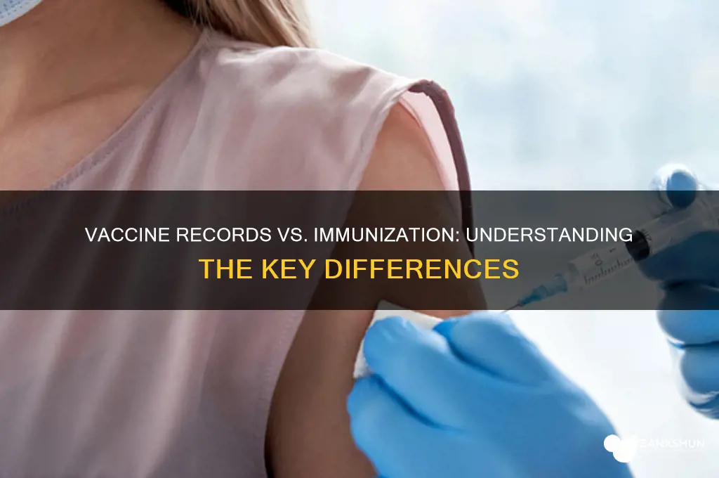 is vaccine record the same as immunization