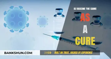 Vaccines vs. Cures: Understanding Their Distinct Roles in Health