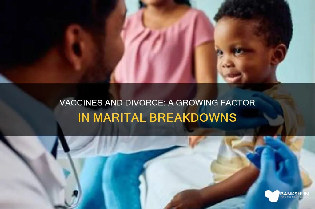 is vaccines a major decision in divorce