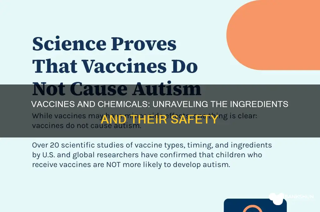 is vaccines are made up of chemicals