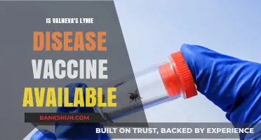 Is Valneva's Lyme Disease Vaccine Available Now? Latest Updates
