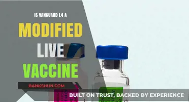 Understanding Vanguard L4: Modified Live Vaccine or Not?
