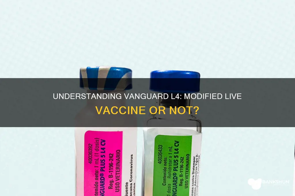 is vanguard l4 a modified live vaccine