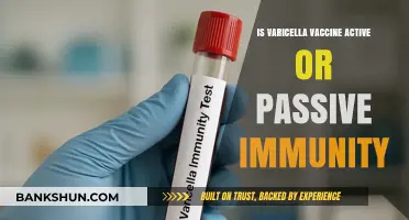Varicella Vaccine: Understanding Active vs. Passive Immunity Explained