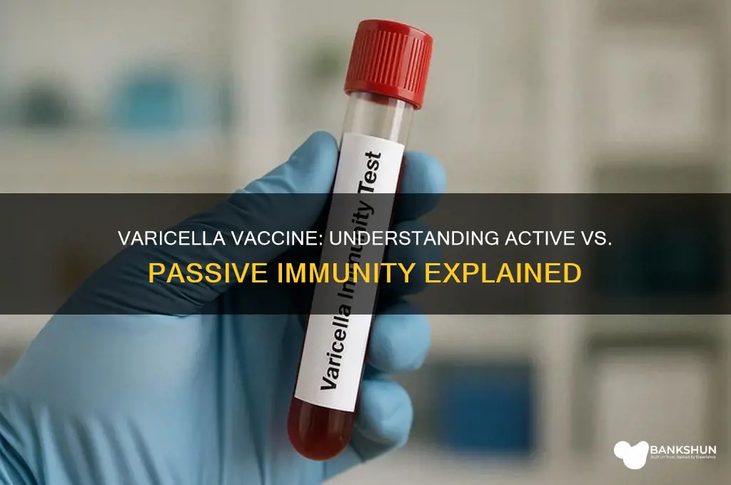 is varicella vaccine active or passive immunity