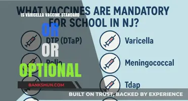 Varicella Vaccine: Standard Requirement or Optional Choice for Prevention?