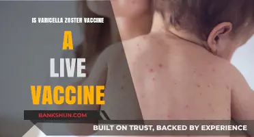 Varicella Zoster Vaccine: Understanding Its Live Attenuated Nature