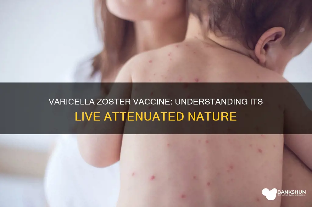 is varicella zoster vaccine a live vaccine