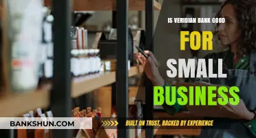 Is Veridian Bank the Right Choice for Your Small Business?