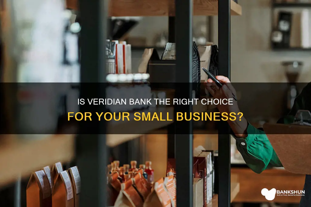 is veridian bank good for small business