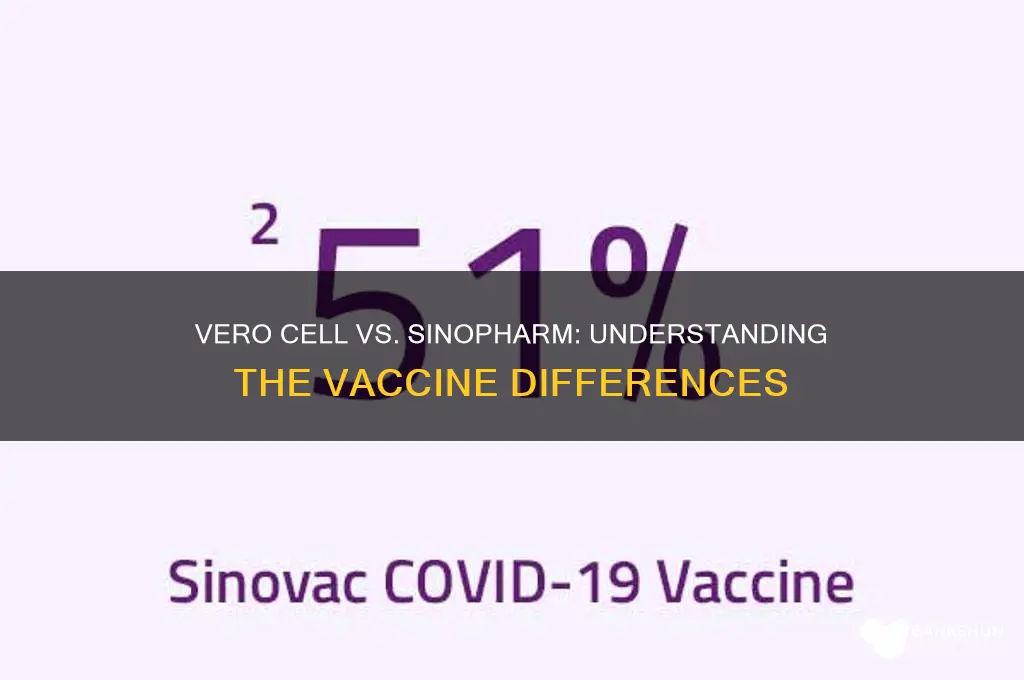 is vero cell vaccine same as sinopharm
