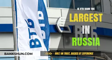 Is VTB Bank Russia's Largest Financial Institution? A Detailed Analysis