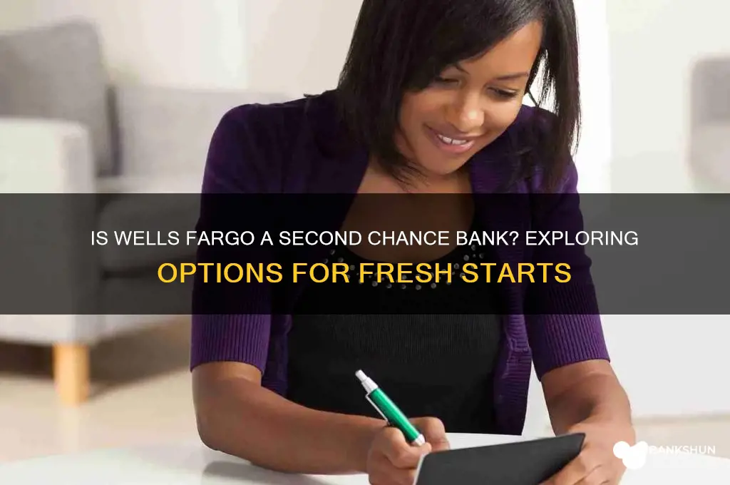 is wells fargo a second chance bank