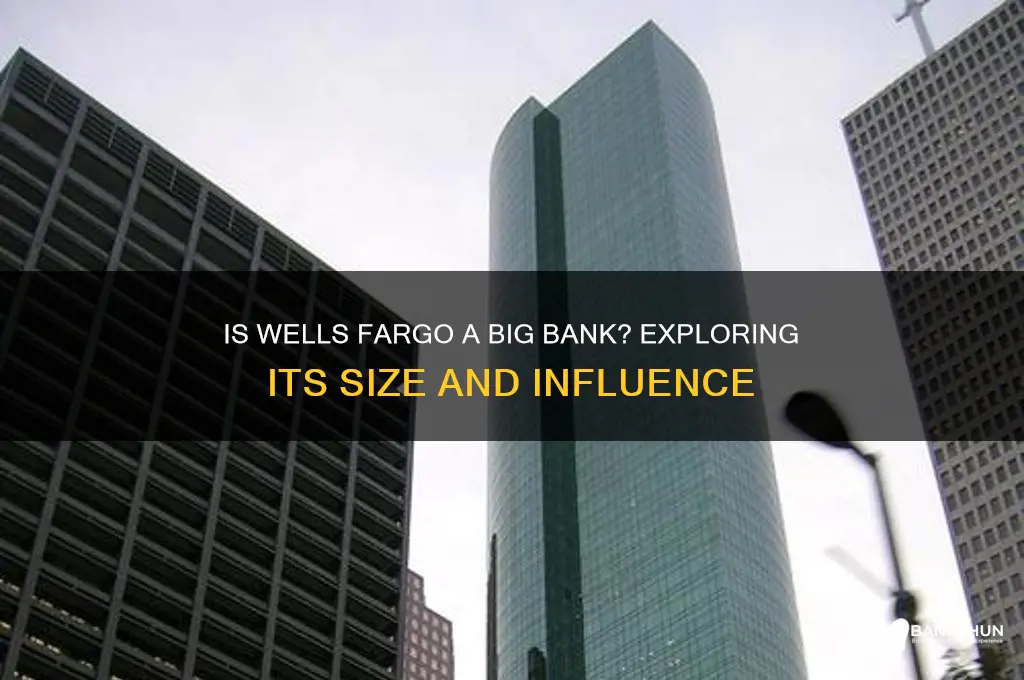 is wells fargo considered a big bank