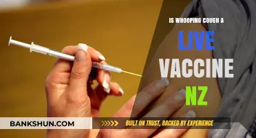 Is Whooping Cough Vaccine Live in New Zealand? Facts Explained