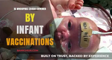 Whooping Cough Protection: Is It Included in Infant Vaccinations?