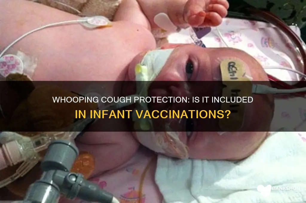 is whooping cough covered by infant vaccinations