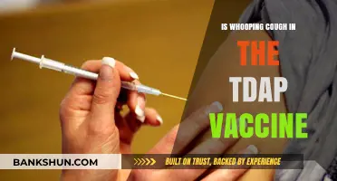Whooping Cough Protection: Understanding Tdap Vaccine's Role and Benefits