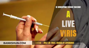 Is the Whooping Cough Vaccine a Live Virus? Facts Explained