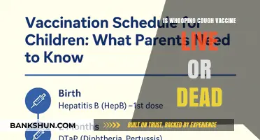 Whooping Cough Vaccine: Live or Dead? Understanding the Difference