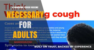 Whooping Cough Vaccine for Adults: Essential or Optional?