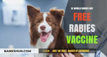 World Rabies Day: Free Vaccines Saving Lives Globally