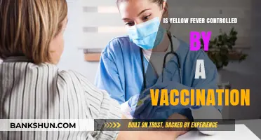 Yellow Fever Control: How Effective Is the Vaccination?