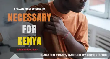 Is Yellow Fever Vaccination Required for Kenya Travel?